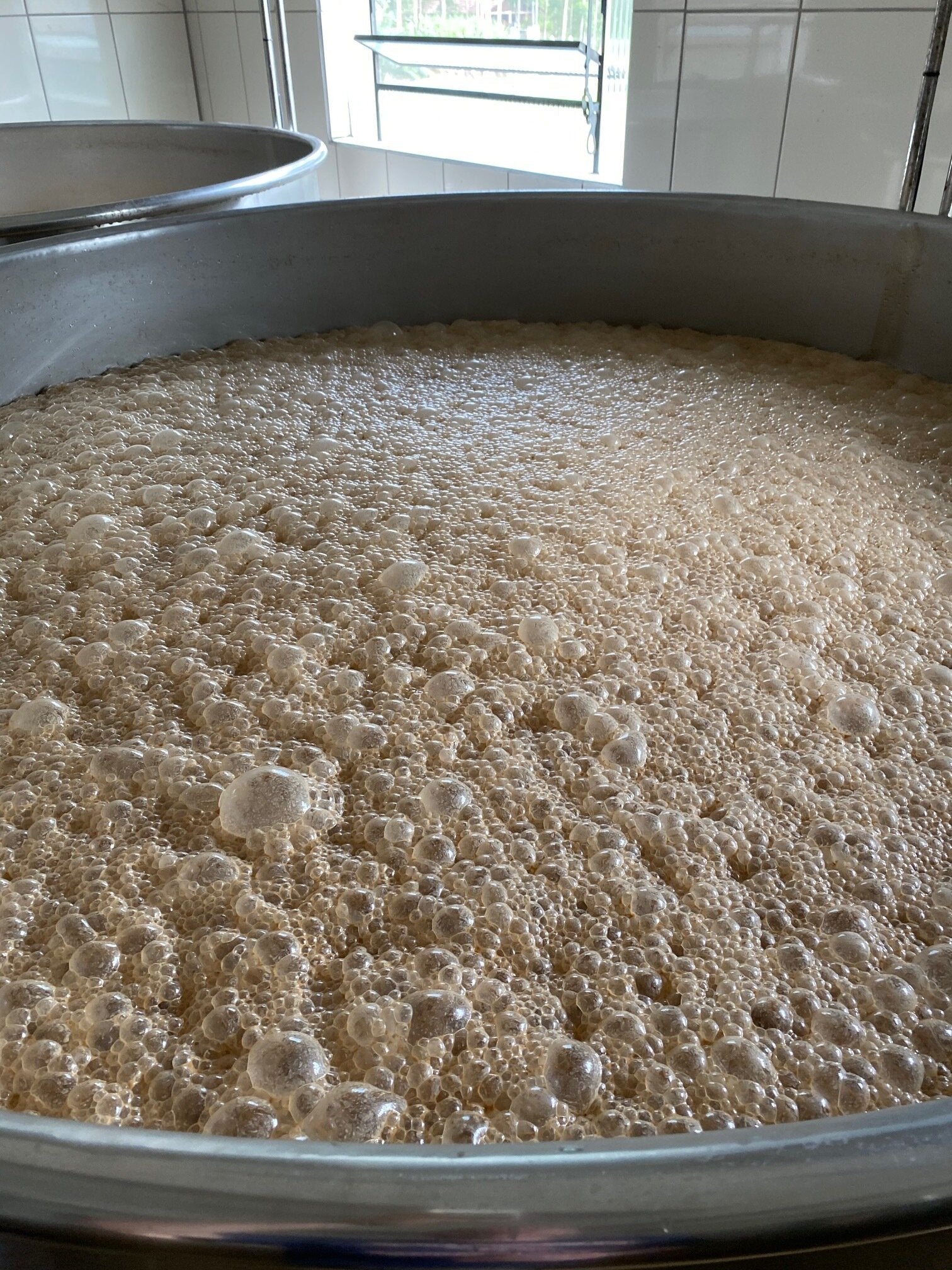 Cachaça Education Part 3: Fermentation